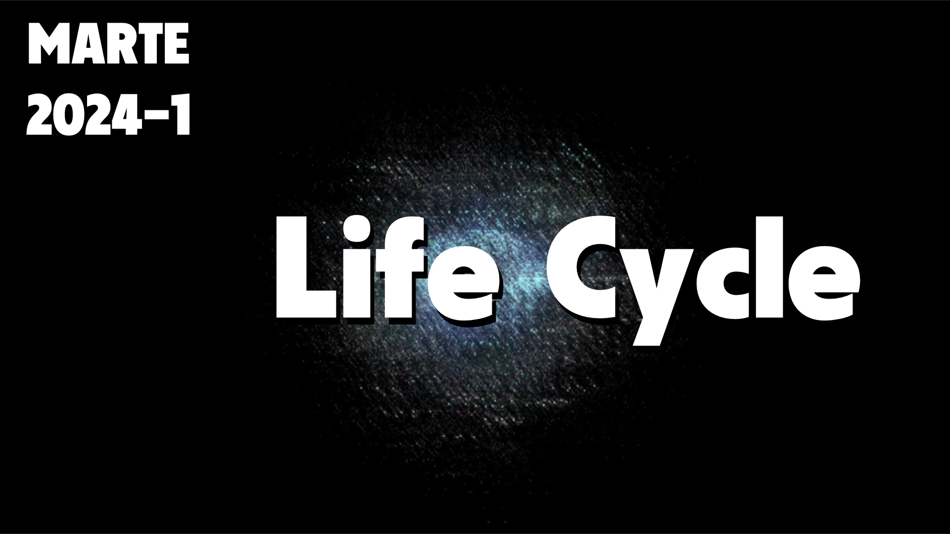 Life Cycle